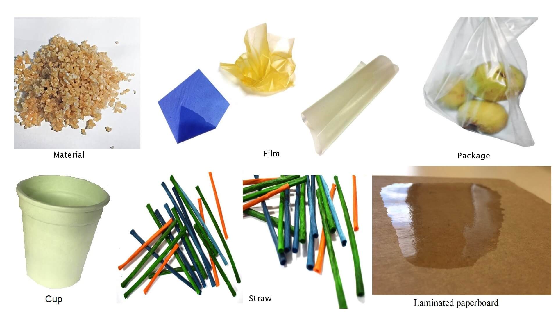 Winner small image - EcoPack Project